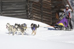 Kandersteg 2013